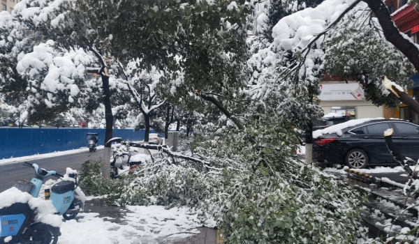 抗擊冰雪，他們在行動